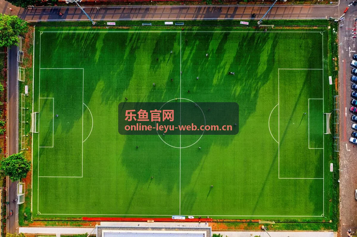 乐鱼官网历史对战数据查询方式